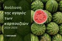 Ανάλυση της αγοράς των καρπουζιών: Μελέτη των τιμών 2024-2025
